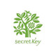 Secret key