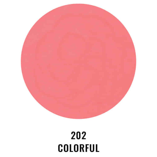 PASTEL Румяна Your Happiness Blusher 202
