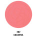 PASTEL Румяна Your Happiness Blusher 202