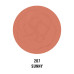 PASTEL Румяна Your Happiness Blusher 207